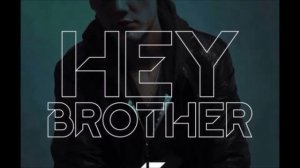Avicii - Hey Brother