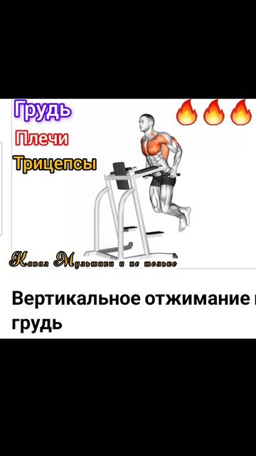Техника выполнения 💥 Вертикальное отжимания • Грудь  ✅️ 💪🙂