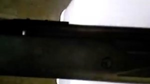 Hatsan 125 5.5 mm w/Leapers 4x32AO