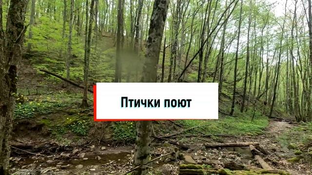 Эндуро. Красная дуанхилка и черный бриллиант