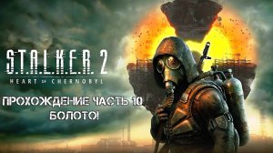 Прохождение STALKER 2 Heart of Chornobyl 2024 - Часть 10 - Болото!