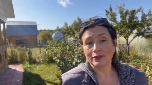 Клубника в разных городах России