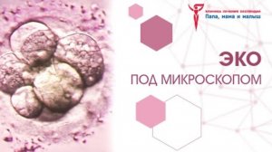 ЭКО. Суть процедуры.