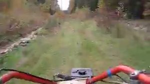 В лес за дровами на мотоблоке.