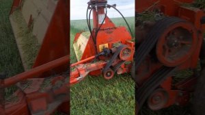 Заготівля силосу рось 2