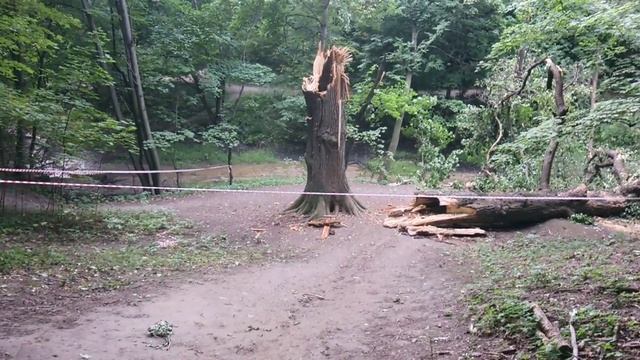 ПОСЛЕДСТВИЯ УРАГАНА В КОЛОМЕНСКОМ В ИЛЬИН ДЕНЬ 2 АВГУСТА