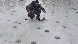 Рыбалка на Верхнем плюс ледовая обстановка. Клёвое место Лосиный остров.