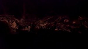 (Потусторонние) НИКОГДА НЕ ВЫЗЫВАЙ УБЕР В 3 ЧАСА НОЧИ