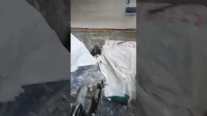зубодолбежный 5В12