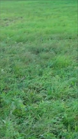Из эндуро в турэндуро