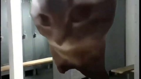 Chipi chipi chapa chapa ♂Right Version♂ | 1 Hour