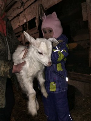 Дарина псих