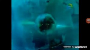 Заставка новостей МИР 200?-201? со звуком заставки МИР 2014-н.в