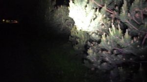 Третий яркий режим работы налобного фонаря Космос KOS501Lit