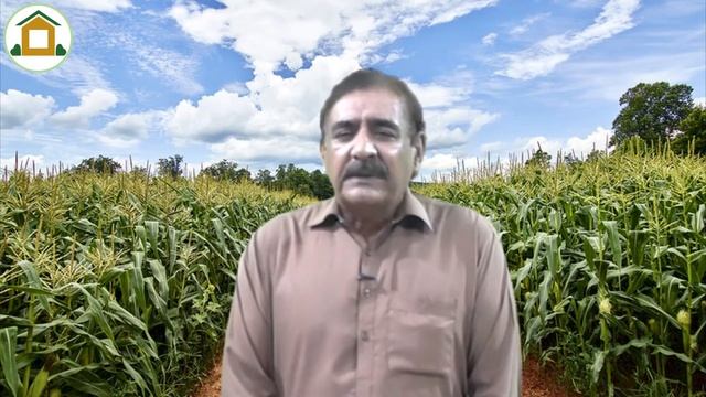 Non traditional Crops in Pakistan,Profitable Agriculture Business Ideas for Farmers 2021