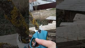 акамуляторный секатор с валберис...