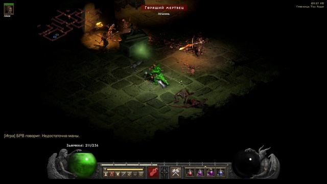 Diablo II Resurrected 28