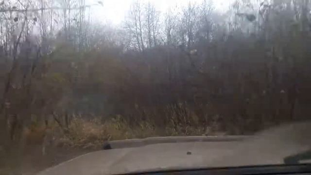 20171008 ПОКАТУШКИ ПО ОСЕННЕМУ ЛЕСУ 1 смотреть онлайн