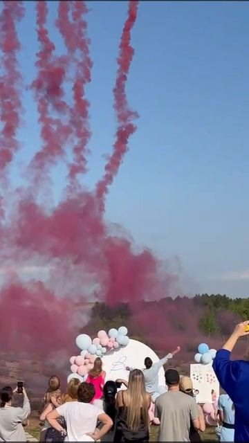 гендер пати в Лавандовом поле смотреть онлайн