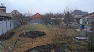 Посадила лук на зелень. Пешие прогулки необходимы!