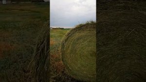 Испытания пресса Джон Дир 580
