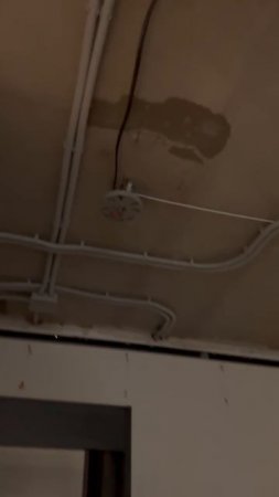 1000108875.mp4