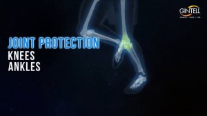 Обзор - Беговая дорожка DFC GINTELL SMARTREK PLUS T-FT4700