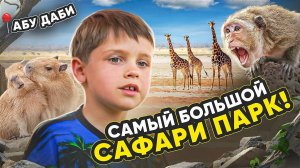 Обзор самого крутого зоопарка в Абу-Даби