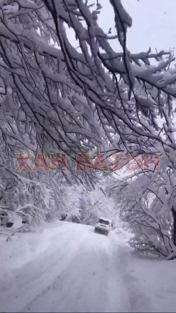 КРЫМ В - февраль 2023 - Волшебная дорога на Ай-Петри❄✨_