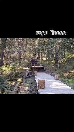 гора Паасо #паасо #карелия #путешествия