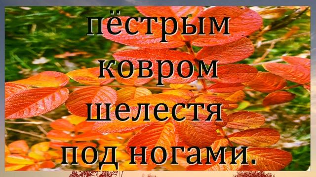 В осеннем парке. Стихи и видеомонтаж мои. Музыка Яна Сибелиуса смотреть онлайн