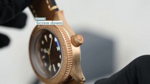 Aquatico Bronze Sea Star Brown Bronze Bezel