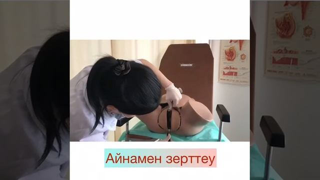 Гинекологиядағы негізгі тексеру әдістері смотреть онлайн