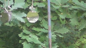 Crosman Optimus R8-C01K77