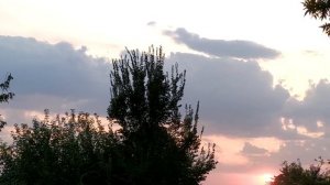 Серебряный волк 1 - 8 серии | Детектив 2022