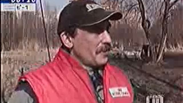 Очерк городского телеканала о рабочих собаках.