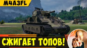 Готовый видос по M4A3FL