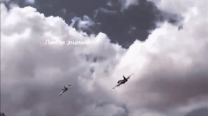 Наши Птички