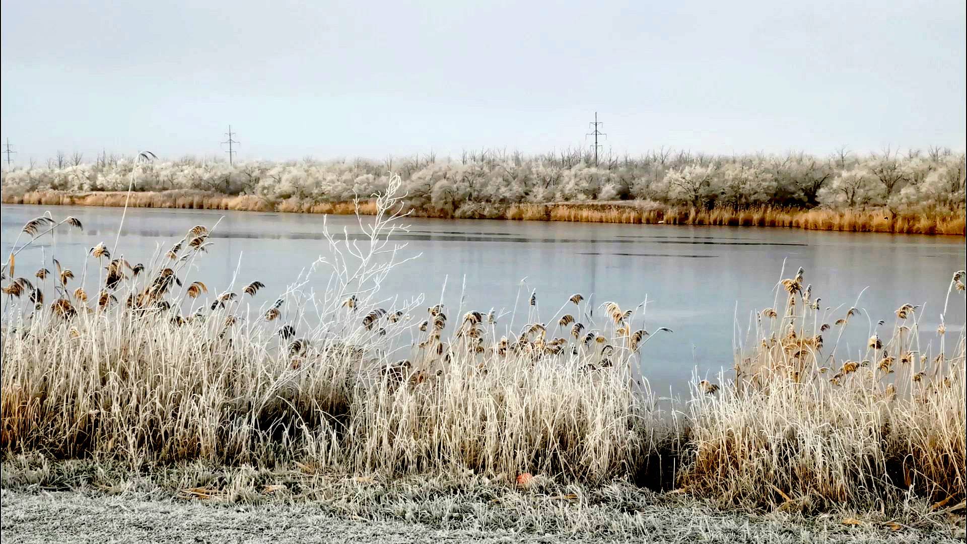 Погода 2025-01-30 Морозно, туман и снова тепло и ясно.