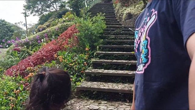 Botanical Garden Part 2 | Second Visit at Lakeview Le Jardin | Cebu City