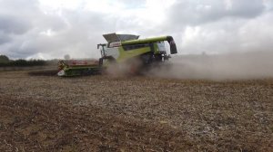 CLAAS LEXION 7700 TT HARVESTING BEANS NORTH YORKSHIRE UK