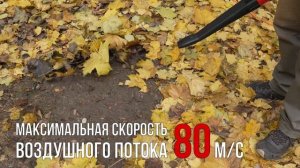 Садовая воздуходувка / Садовый пылесос EVOline BLE 2600 VAC