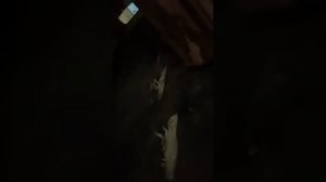 Как чистить печку от сажи(осторожно, опасно для здоровья)