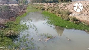 СРОЧНО ХОНАИ ФУРУШИ ДАР НОХИЯ КУБОДИЁОН