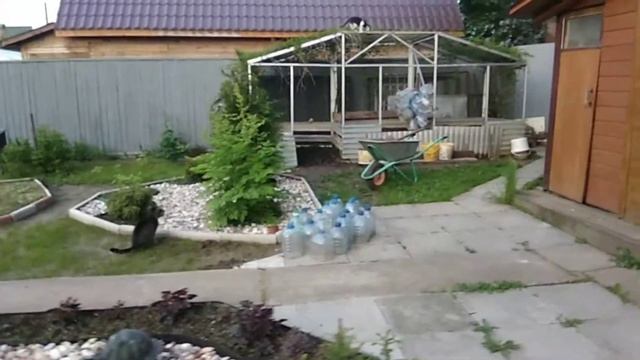 У-дачный шашлык после завершения самоизоляции: с комарами, котами и зеленью смотреть онлайн