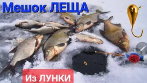 🔥Мешок ЛЕЩА🐠 из лунки ...конец января 2025!! Мокрый лёд Рузского водохранилища !!