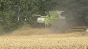 Harvest 2020 | Claas Lexion 770 with V1050 header