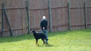 Жан Лори и босерон Эджен