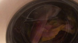 ВЛОГ/Суббота/Школа/Нарядили ёлку у Иры с Вовой!