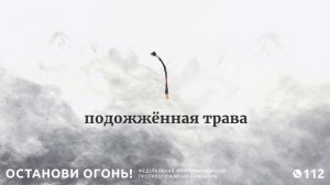 Кто виноват в пожарах?